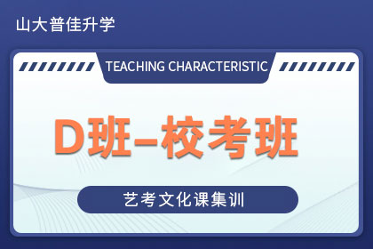 D班-校考班 山東藝術(shù)生文化課輔導(dǎo)